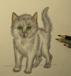 как нарисовать котенка карандашом поэтапно