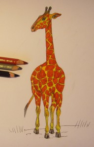 как нарисовать жирафа карандашом поэтапно