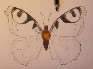 как нарисовать бабочку карандашом