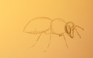 нарисовать пчелу карандашом