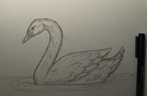 как нарисовать лебедя