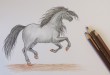 как нарисовать коня