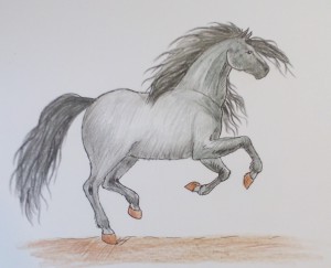 как нарисовать коня