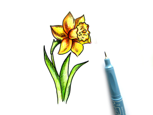 нарисовать цветок