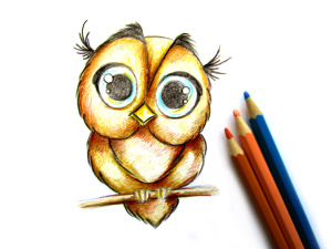 как нарисовать сову карандашом поэтапно